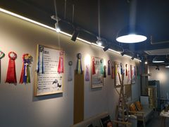 -猫十亿·布偶金渐层·曼基康矮脚猫舍(青年路店)
