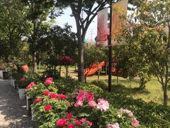 -钱小奴创意自助餐厅·山野黑猪肉畅吃(苏州昆山招商花园城店)