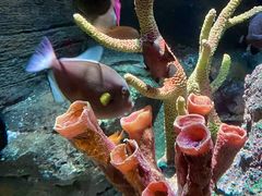 -沈阳海洋探索中心