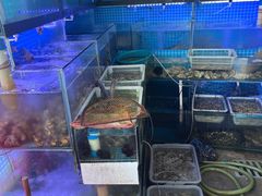 水产区-阿军排档·烧烤