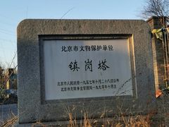 -云岗森林公园