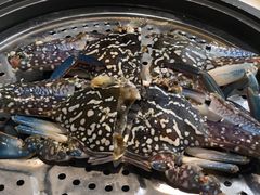 -越百海海鲜蒸锅(乐山店)
