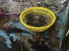 -鸿旺海鲜楼(平潭流水店)