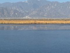 -野鸭湖国家湿地公园