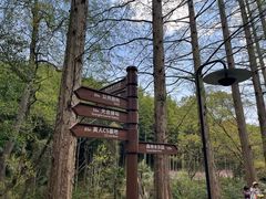-东明山森林公园