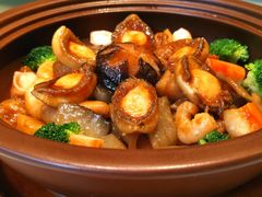 花胶鲍鱼一品煲-富淳饭店(陆家嘴保利广场店)