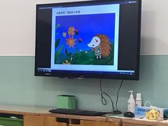 -学知乐教育·幼小衔接·小学科辅导(浦东外高桥森兰中心)