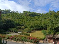 -深圳仙湖植物园