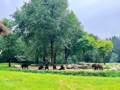 -北京野生动物园