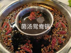 -枇杷园食为鲜火锅(南山店)