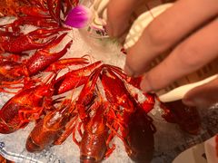 -舞虾小说.涮肉.烧烤(国顺东路店)
