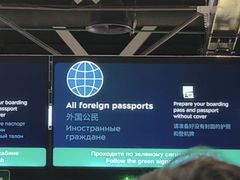 -谢列梅捷沃国际机场