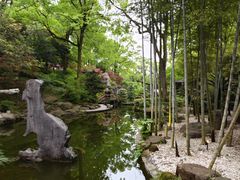 -南山植物园