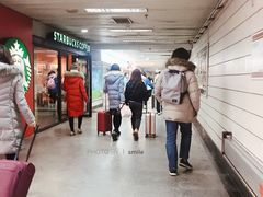 -上海科技馆(地铁站)