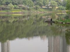 -重庆彩云湖湿地公园