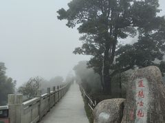 -梧桐山风景名胜区