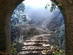 -中国茶叶博物馆(双峰馆区)