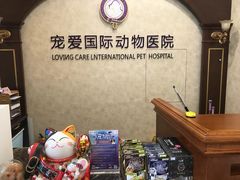 -宠爱国际动物医院· 猫科· 外科·中兽医(长白店)