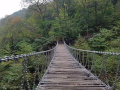 -龙道沟景区