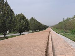 -秦始皇帝陵博物院-丽山园