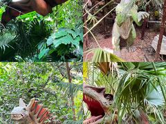-呀路古热带植物园