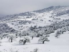 -太子岭滑雪场