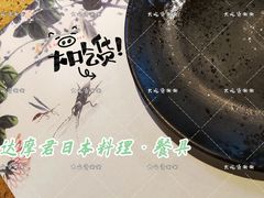 餐具摆设-达摩君日本料理(泰海花园小区店)