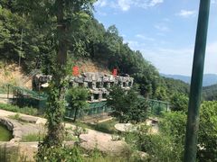 -栾川竹海野生动物园