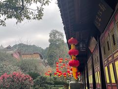 -峨眉山报国寺