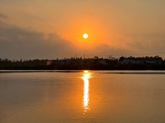 -春花秋色城市公园