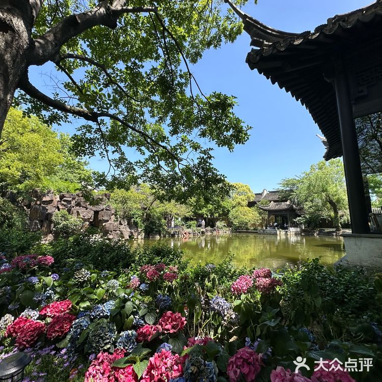 我在惠山古镇园林里面喝咖啡☕️看锦鲤