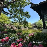 我在惠山古镇园林里面喝咖啡☕️看锦鲤