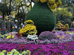 -杭州植物园