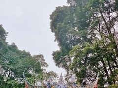 -青城山