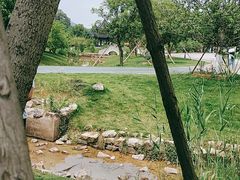 -龙寺生态园