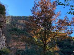 -湖洞水自然风景区