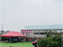 -小鱼草莓采摘园农家乐·小鱼餐厅