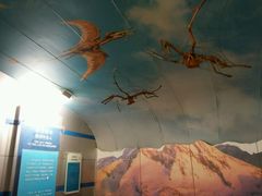 -自贡恐龙博物馆