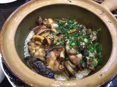 -红星光发煲仔饭(大石街店)