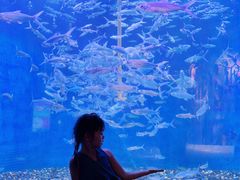 -成都浩海立方海洋公园