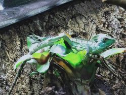 -酷嗒动物文化乐园(cutezoo西溪乐天城店)