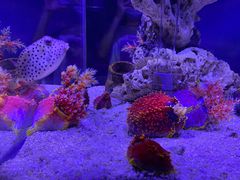 -太平洋海底世界