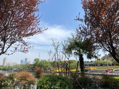 -月湖风景区