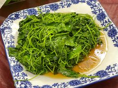 -协和菜馆(凤凰街店)