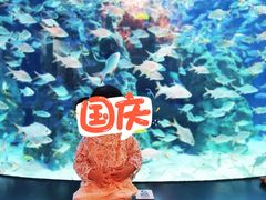 -成都浩海立方海洋公园