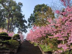 -南山植物园