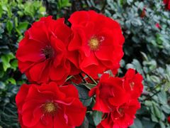 -杭州城北体育公园