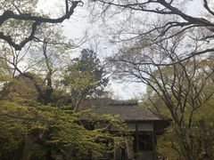 -常寂光寺