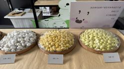 -太湖雪蚕桑文化园