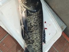 -宝荣鱼馆·临湖之宴(千岛湖店)